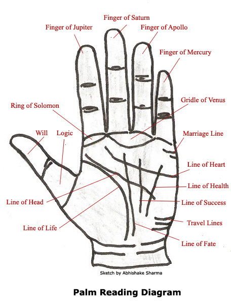This image has an empty alt attribute; its file name is palm-reading-diagram-e1416430152578.jpg