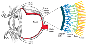 How to heal your eyes naturally