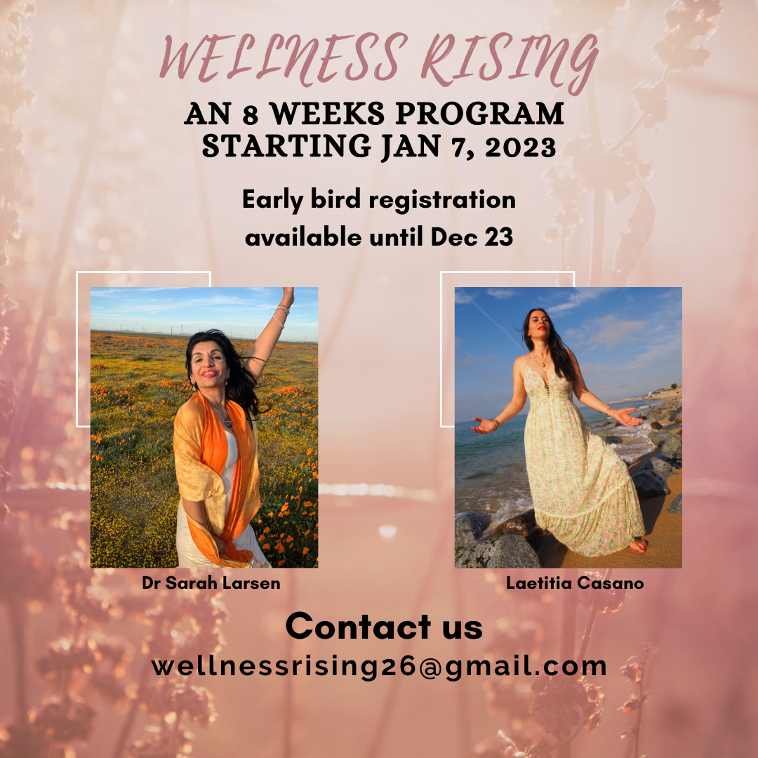 Promo Wellness Rising Dr Sarah Larsen ~ Medical Intuitive And Energy Healer